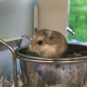 Meet your Posher, Riah